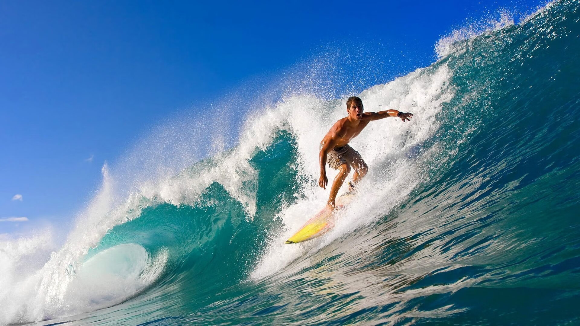 “跑出速度与激情！SHO-CHAN Run 2025吸引全球目光”