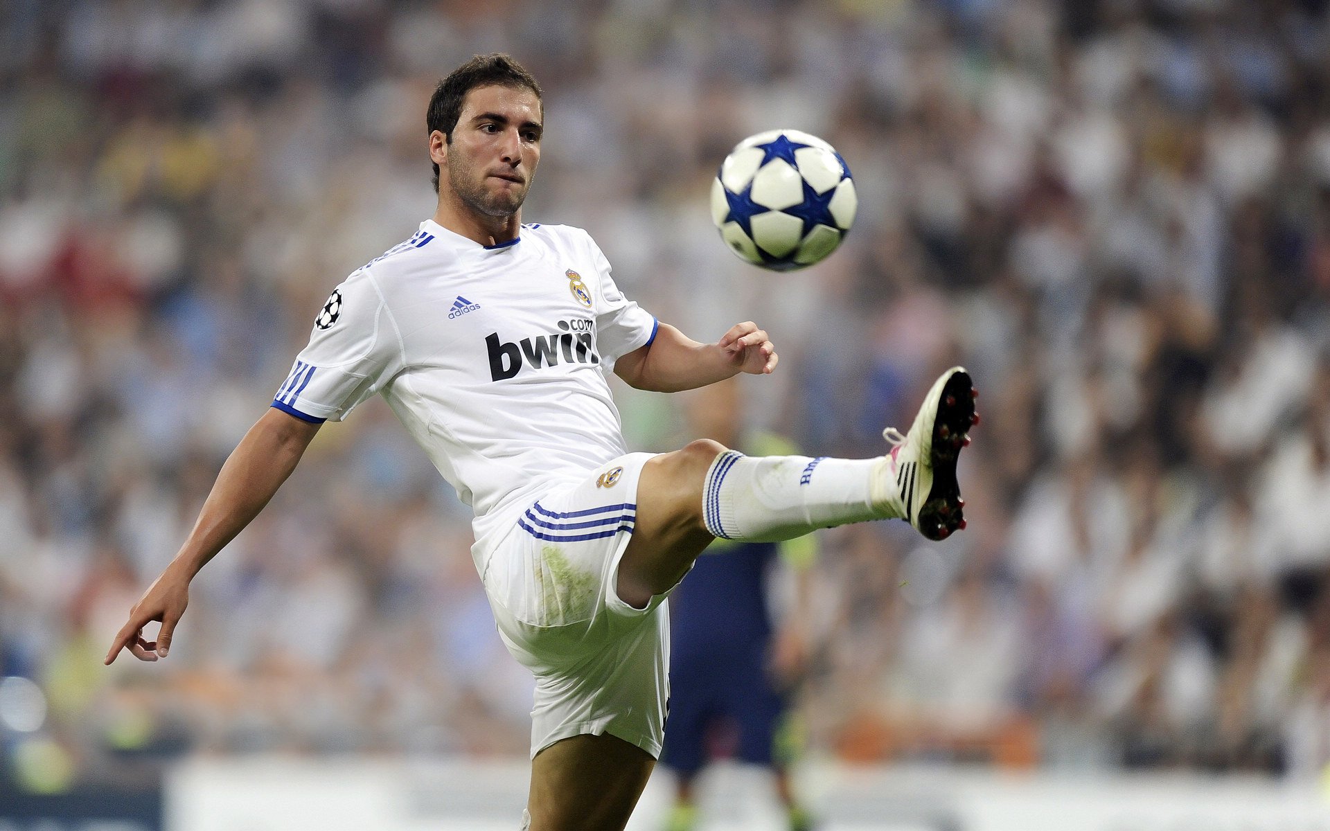 青训政策对足球发展影响,青训政策对足球发展影响分析