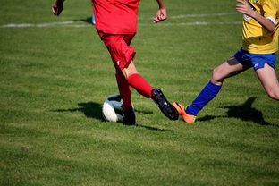 kaiyun体育app-中国足球俱乐部与国际知名足球学院合作，中国足球俱乐部和国家队