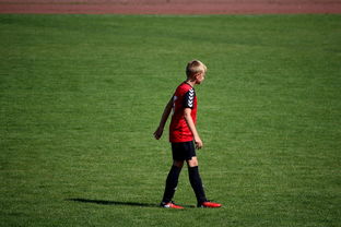 开云官方-中国足球俱乐部青训营技术指导持续加强，中国足球青训机构